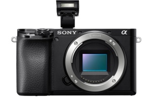 Sony ALPHA 6100 Aparat foto - Img 9