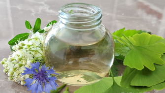 Toner ten uscat Ginkgo & HA