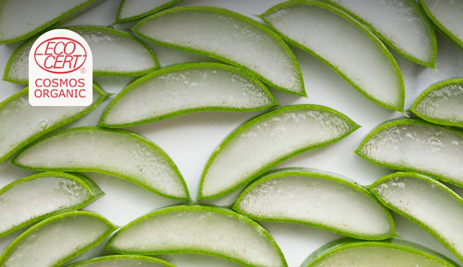 Gel de Aloe Vera Bio