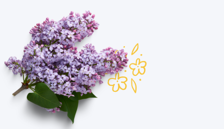 Parfumant Lilac Genuin