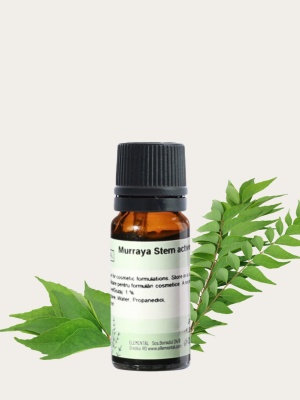 Murraya Stem active