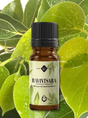 Ulei esențial de Ravintsara - Img 2