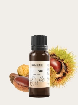 Extract de Castan sălbatic Bio