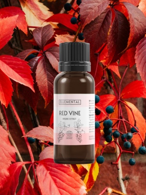 Extract de Viță roșie Bio - Img 2