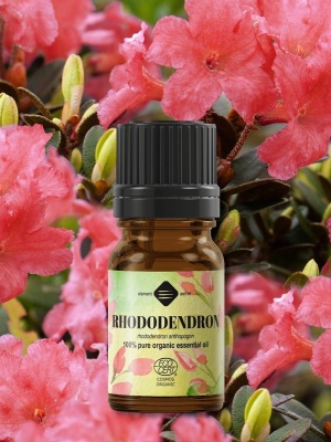 Ulei esențial de Rhododendron Bio - Img 3