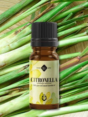Ulei esențial de Citronella - Img 2