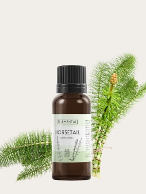 Extract de Coada calului Bio