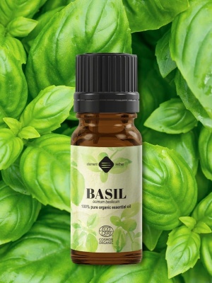Ulei esențial de Busuioc tropical Bio - Img 2