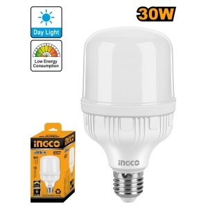 Bec cu LED 30W