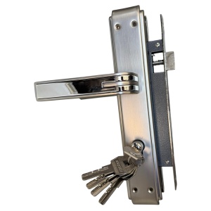 Broasca Yala Mare 208A17 Aurie