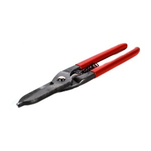 Cleste de Taiat Sarma 8'' Freed