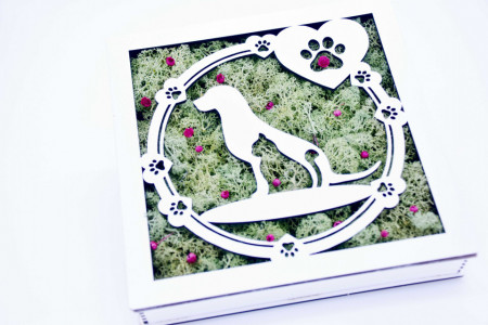 Tablou licheni - veterinar