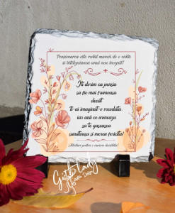 Placheta ardezie - pensionare