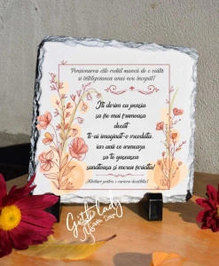 Placheta ardezie - pensionare