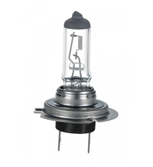 Bec Halogen H7 24V 70W