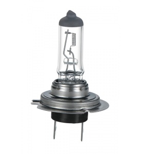 Bec Halogen H7 24V 70W