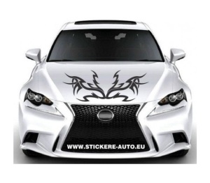 Sticker capota CM17