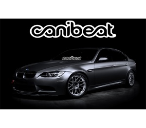 Sticker Parbriz Canibeat