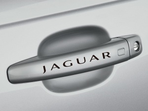Sticker manere usa - Jaguar (set 4 buc.)