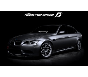 Sticker Parbriz Team NFS