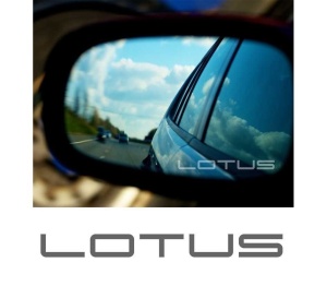 Stickere oglinda Etched Glass - Lotus