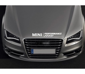 Sticker Sapota MINI