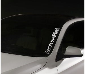 Sticker Parbriz Fiat