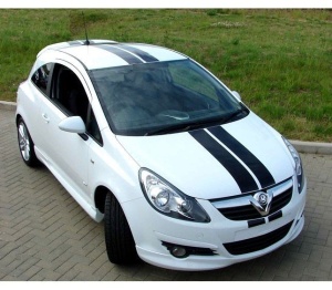 Dungi auto Carbon 3D "Racing Style" (v2) - Img 1
