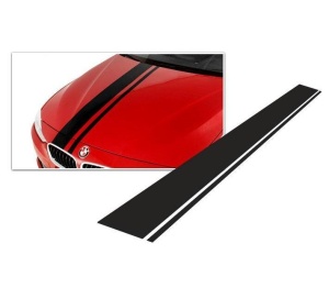 Dungi auto Carbon 3D "Racing Style" (v3) - Img 1