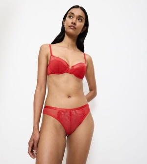 Chilot Brazilian, Triumph Delightful Spotlight Brazilian - Img 6