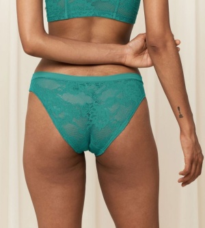 Chilot brazilian, Triumph Smart Deco Brazilian - Img 5