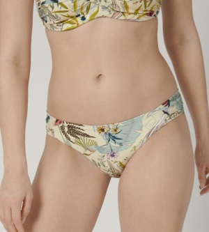 Triumph Botanical Leaf Mini