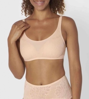 Triumph Fit Smart P