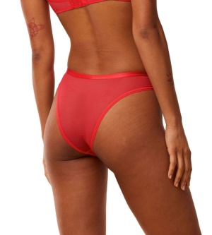 Chilot Brazilian, Triumph Delightful Spotlight Brazilian - Img 2