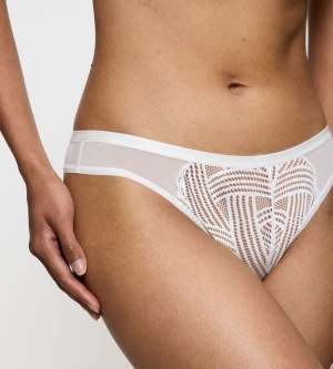 Chilot Brazilian, Triumph Delightful Spotlight Brazilian - Img 4