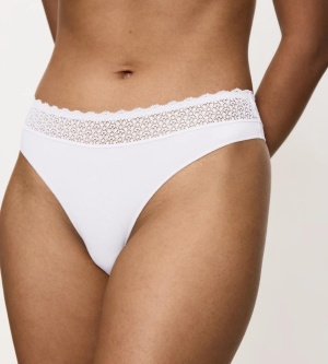Triumph Feel of Modal String Alb - Img 3