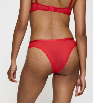 Chilot Brazilian, Triumph Delightful Spotlight Brazilian - Img 3