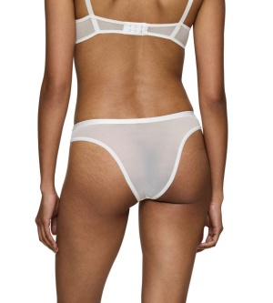 Chilot Brazilian, Triumph Delightful Spotlight Brazilian - Img 7