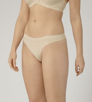 Triumph Aura Spotlight High Leg String