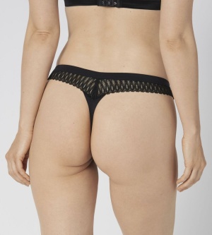 Triumph Aura Spotlight High Leg String - Img 5