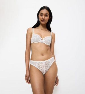 Chilot Brazilian, Triumph Delightful Spotlight Brazilian