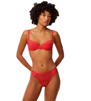Chilot Brazilian, Triumph Delightful Spotlight Brazilian - Img 9