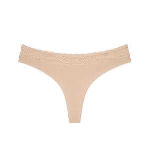 Chilot, Triumph Feel of Modal String - Img 5