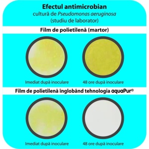 Pachet Stocare Apa - Rezervor stocare apa potabila 750 litri cu ioni de argint Aquapur + Filtre + Pompa submersibila Pedrollo - Img 2