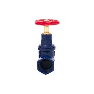 Robinet de trecere din fonta Everpro 1 1/2", ION-RS112 - Img 2