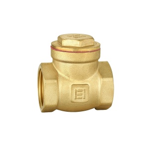Supapa de sens cu clapeta Everpro RB-STT34, 3/4"