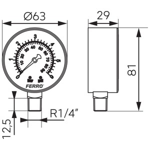 Manometru radial Ferro M6306R, 63 mm, 1/4", 0-6 bar - Img 2