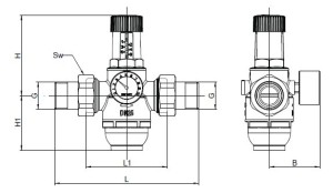 Reductor presiune HERZ FE-FE 2", pentru apa rece