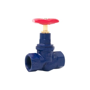 Robinet de trecere din fonta Everpro 1 1/2", ION-RS112