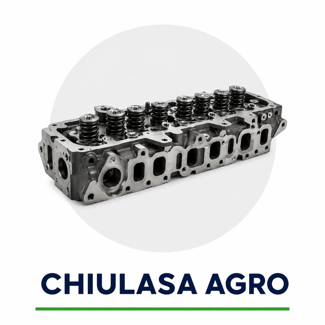 Chiulasa